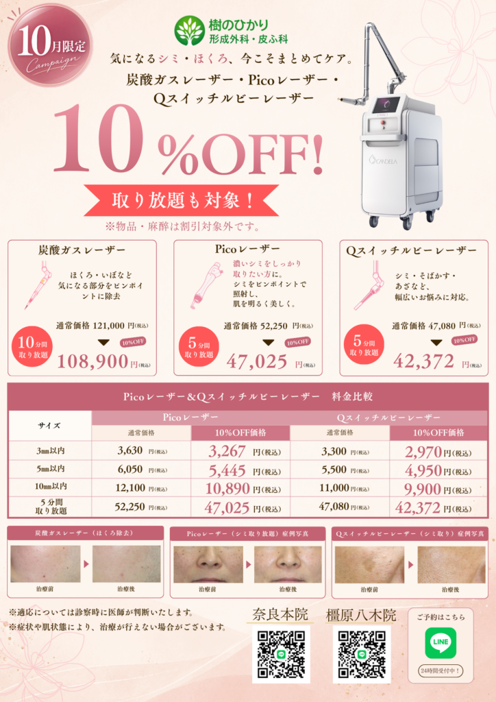 樹のひかり 2026年10月キャンペーンのご案内 1